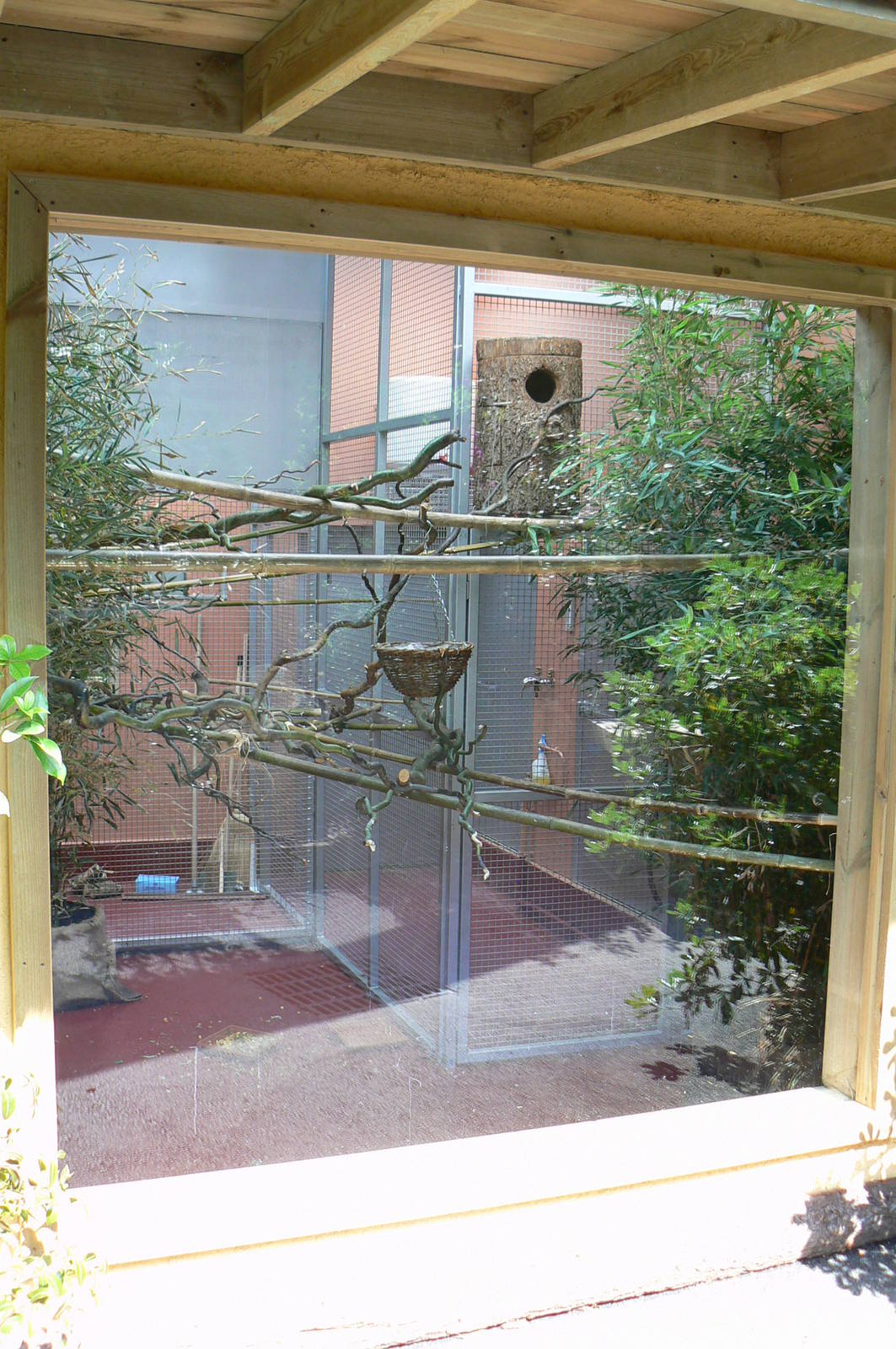 Peruvia - White-lipped tamarins and grey-winged trumpeters house