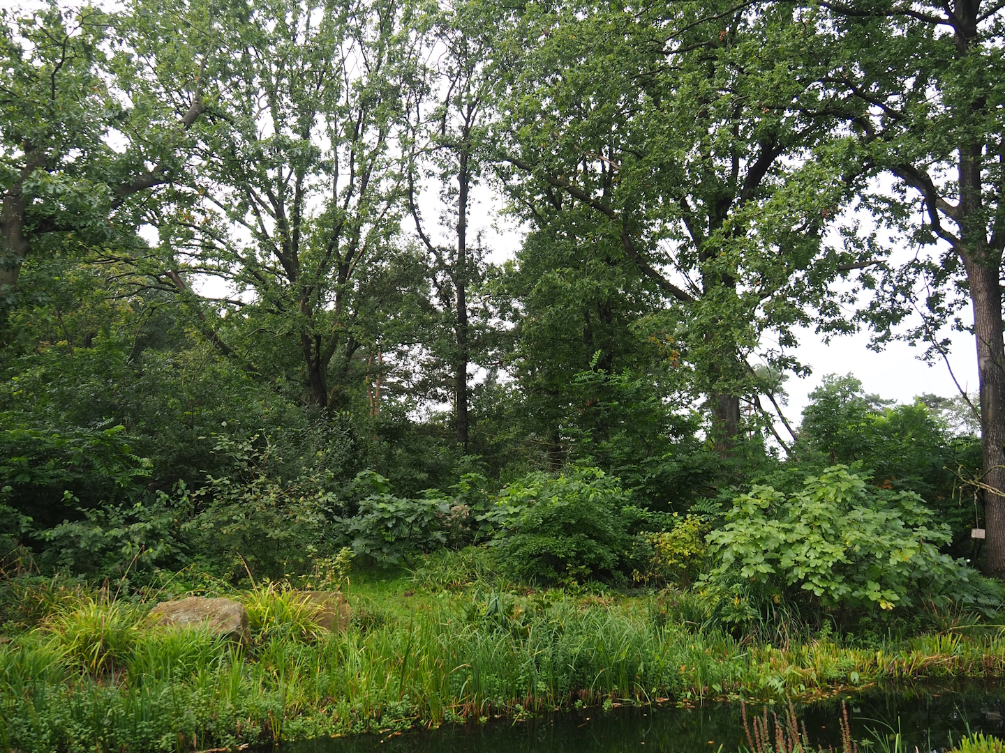 Peruvian squirrel monkey and South American coati island, 2023-10-07