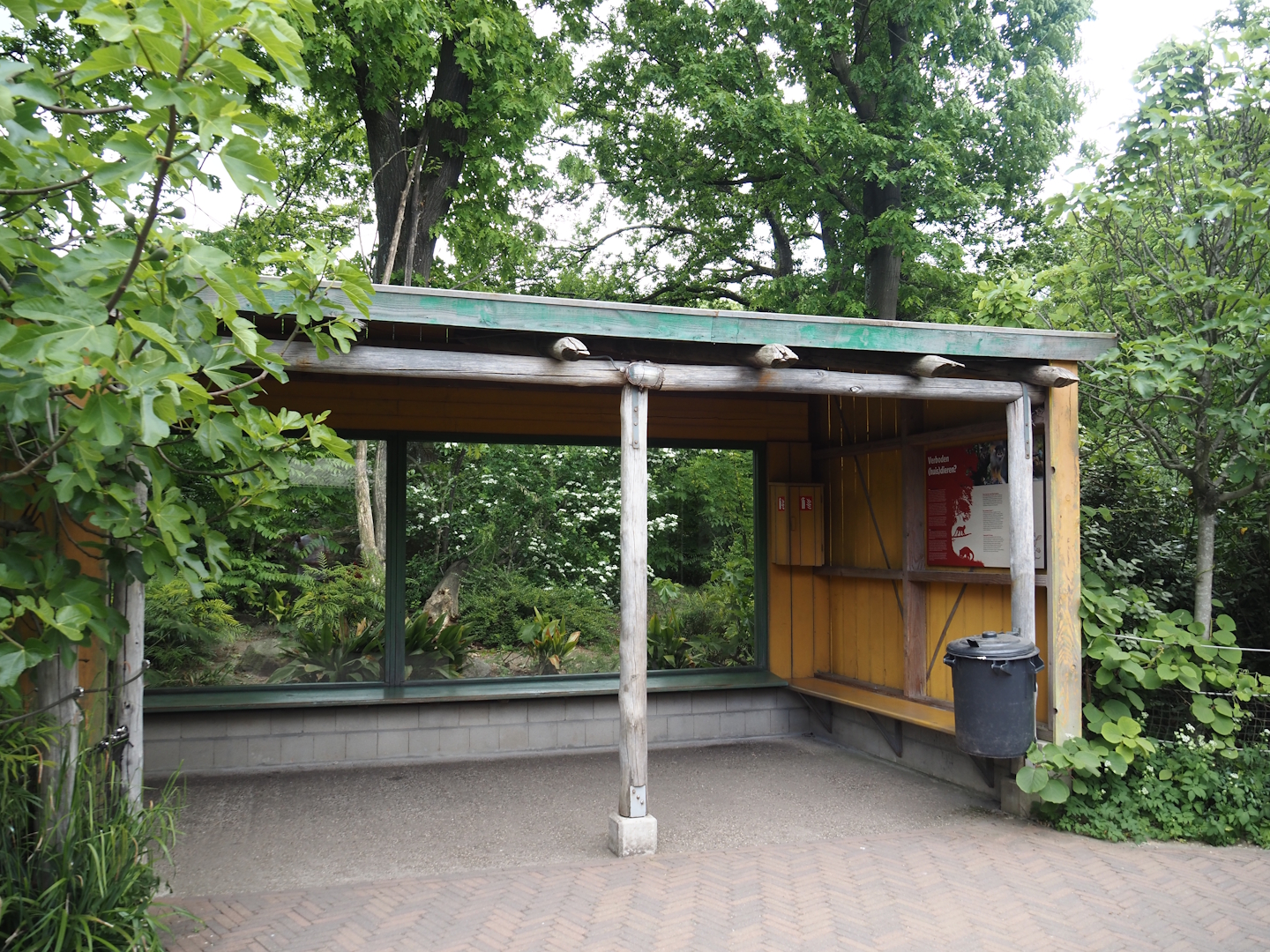 Peruvian squirrel monkey and South American coati island viewing area, 2025-05-17