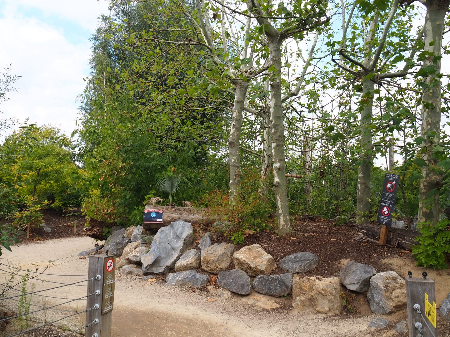 Peruvian squirrel monkey island, 2020-09-02