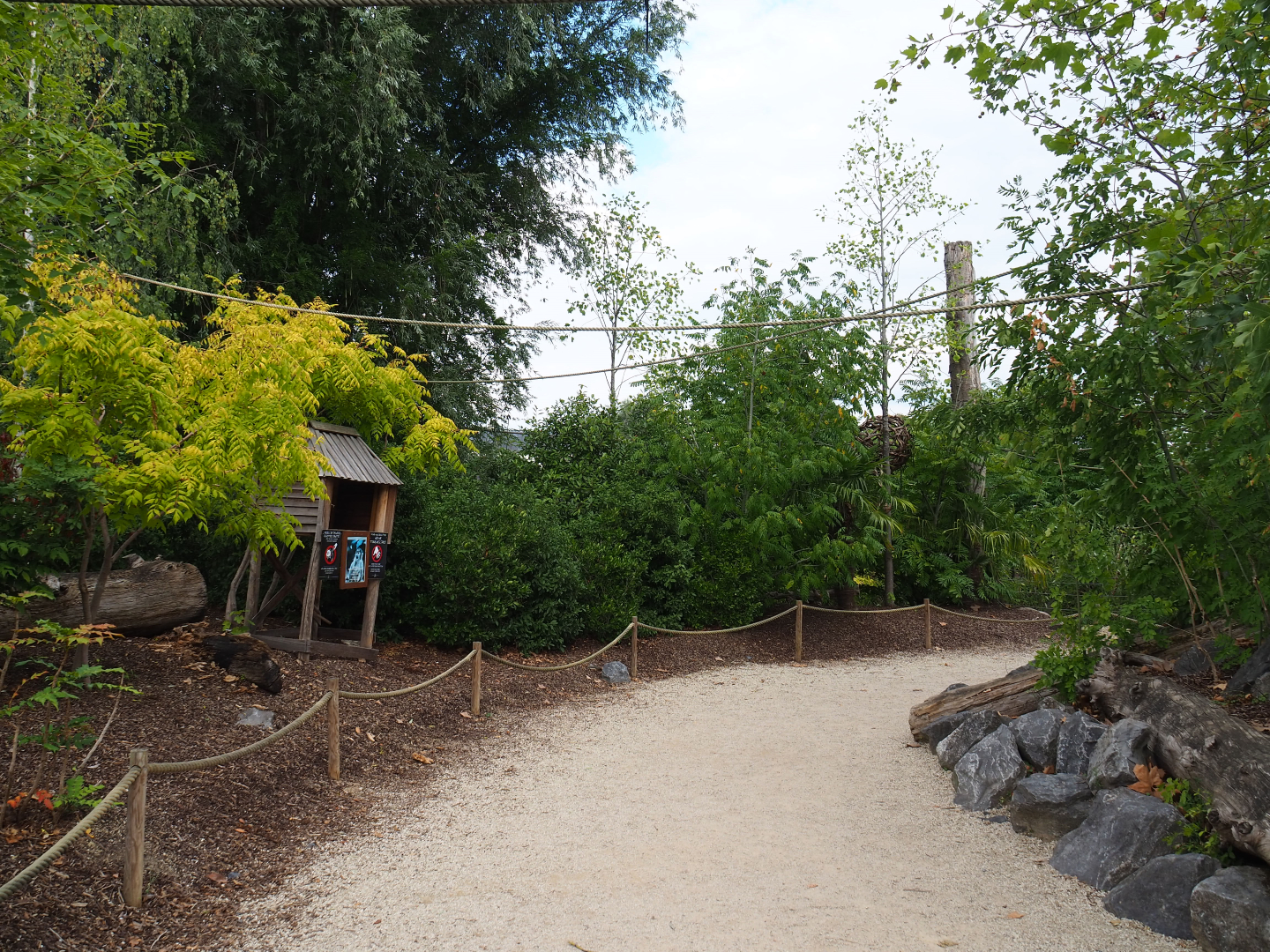 Peruvian squirrel monkey island, 2020-09-02