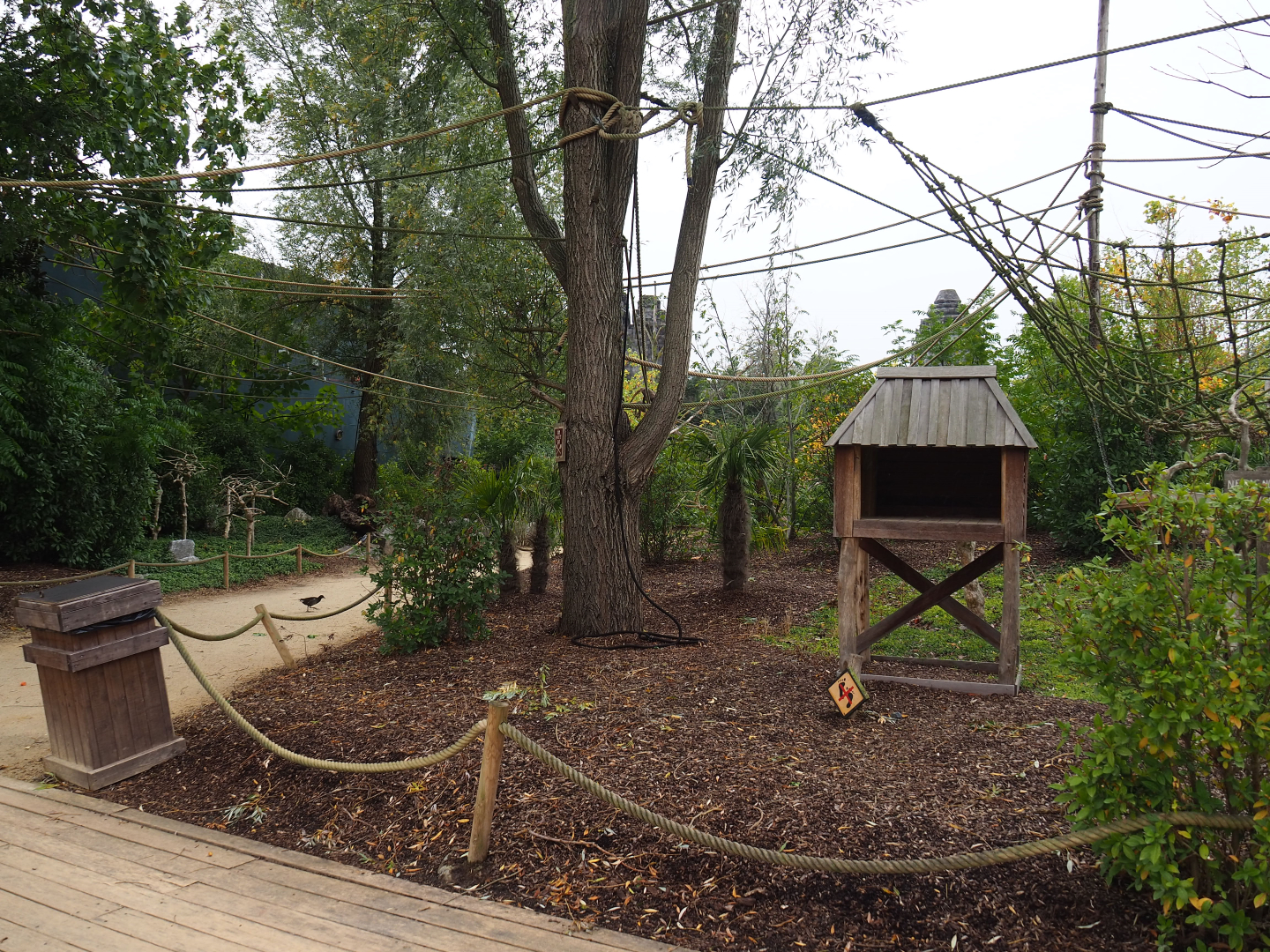 Peruvian squirrel monkey island walk-through, 2019-10-04