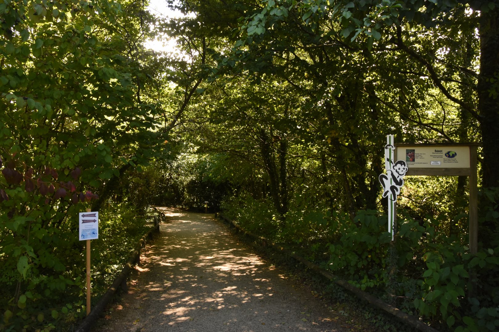 Peruvian Squirrel Monkey walkthrough