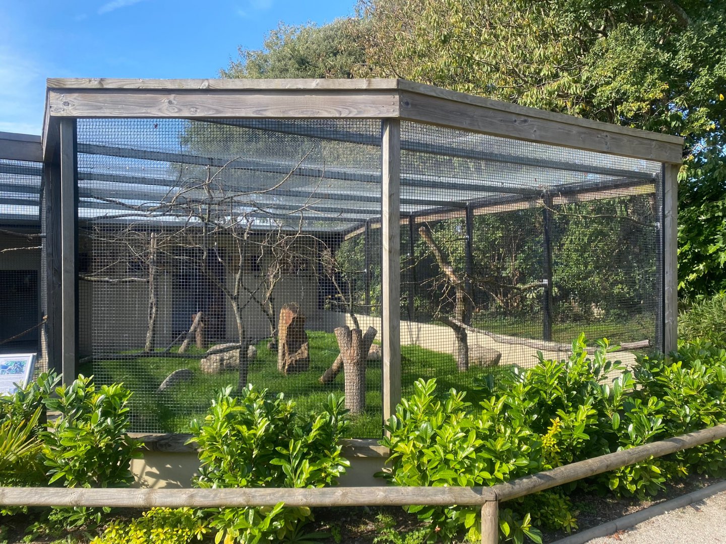 Pesquet’s parrot aviary 081023