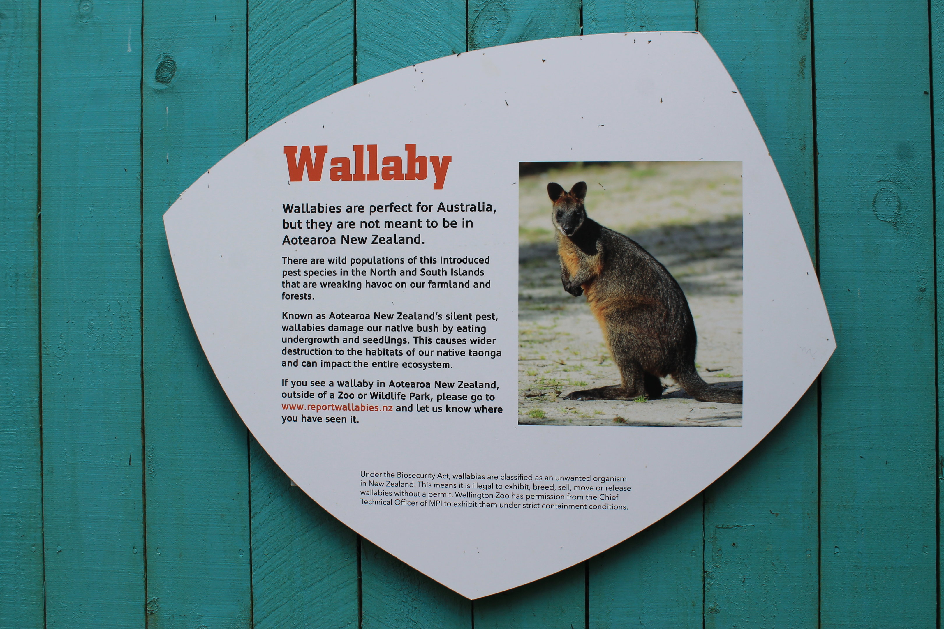 Pest wallaby signage