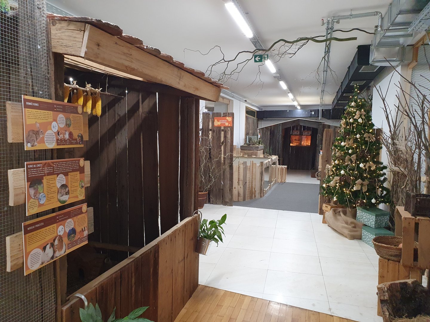 Pet corner & Arizona desert in the background