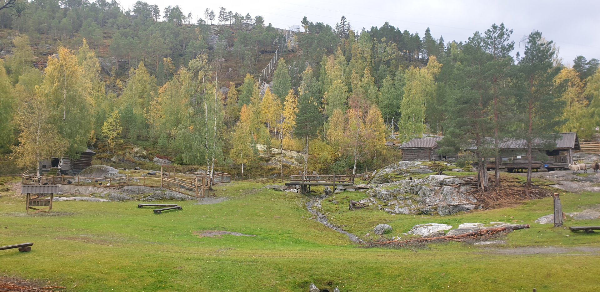 Pet Farm. The white fences, which going up in mountains are the Wolf enclosure borders.