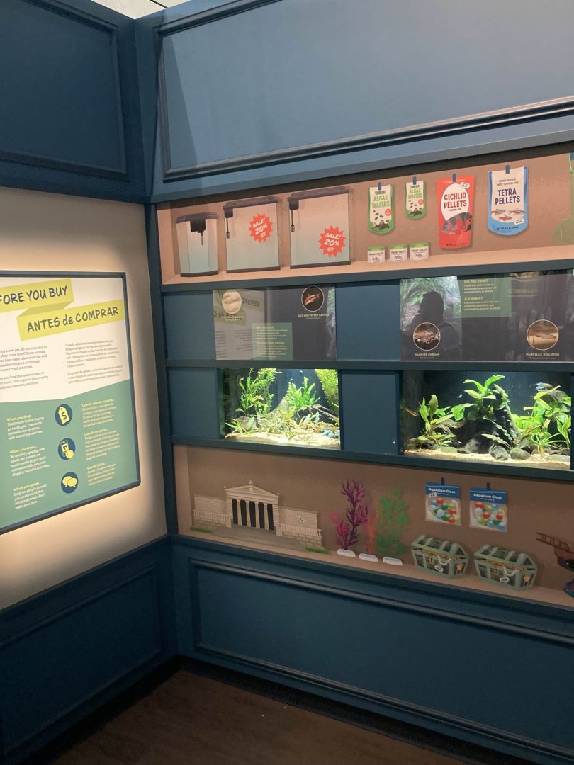 Pet Store Themed Area 2