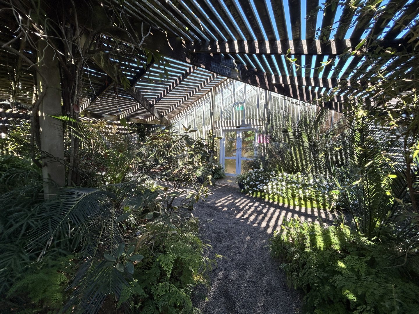 Peter Black Conservatory at The Victoria Esplanade