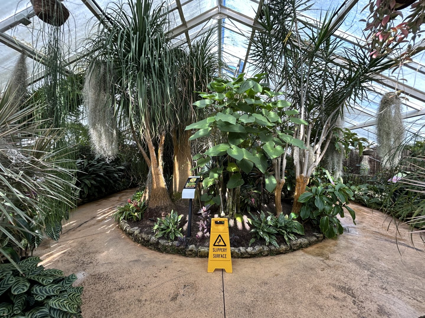Peter Black Conservatory at The Victoria Esplanade