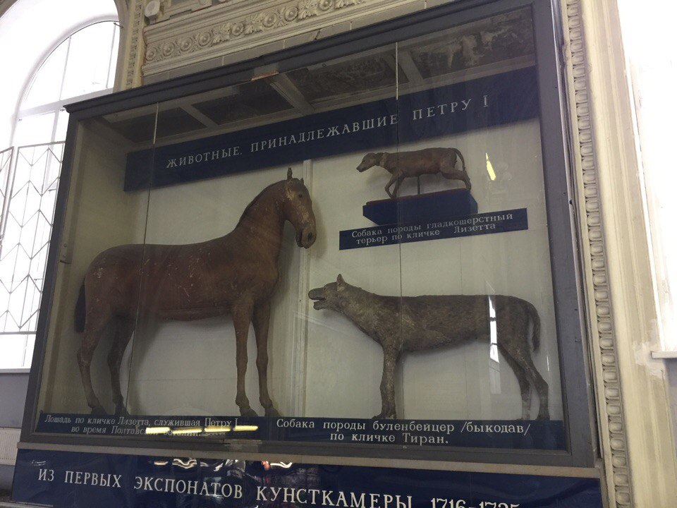 Peter the Great's pets