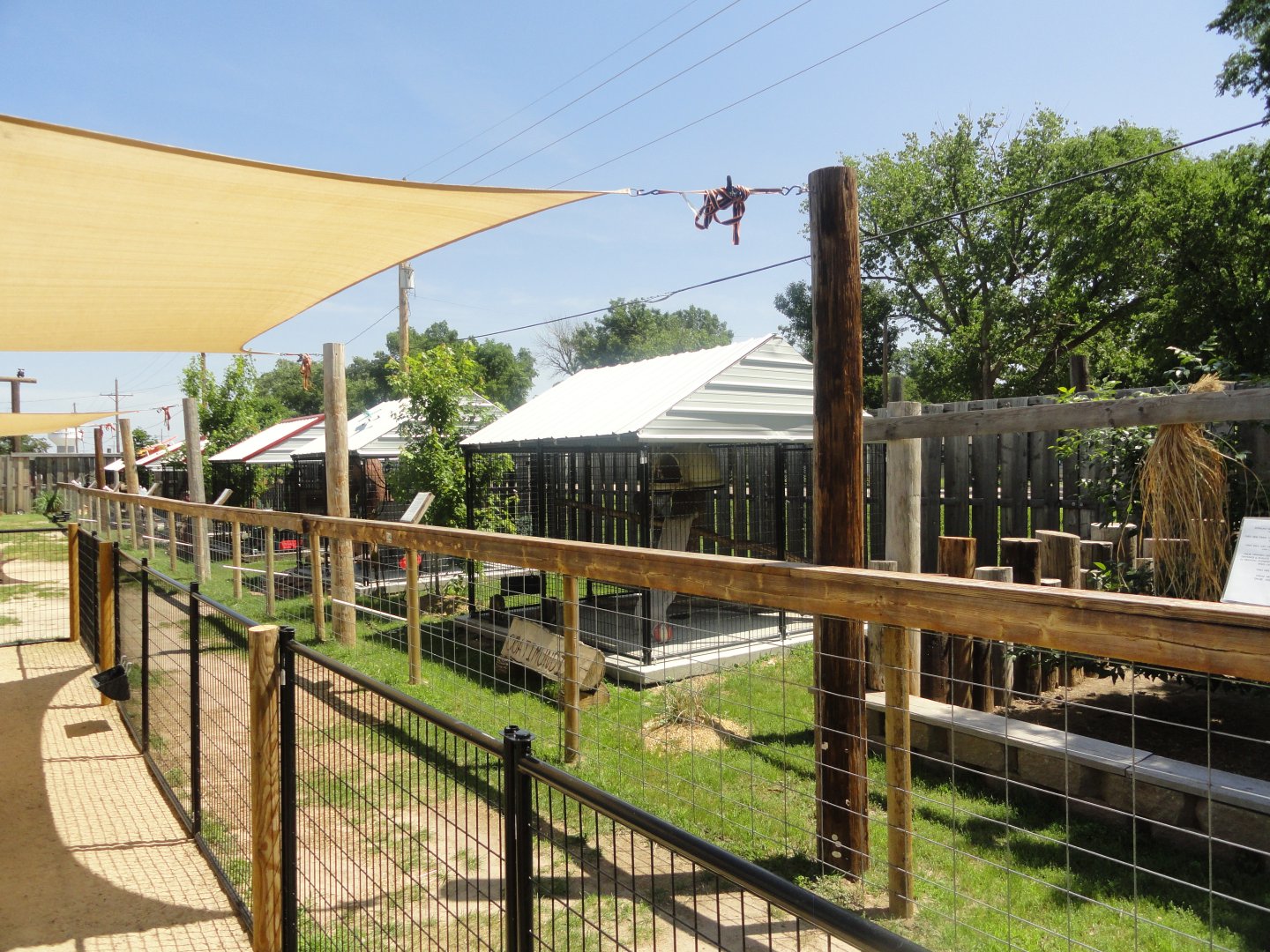 Pete's Safari - Row of exhibits