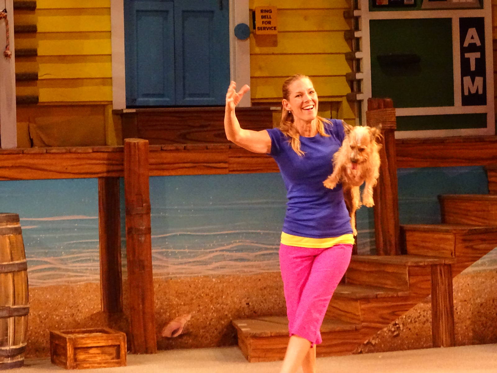 Pets Ahoy! at SeaWorld Orlando