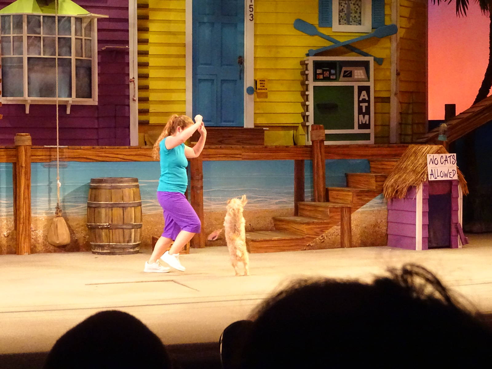 Pets Ahoy! at SeaWorld Orlando