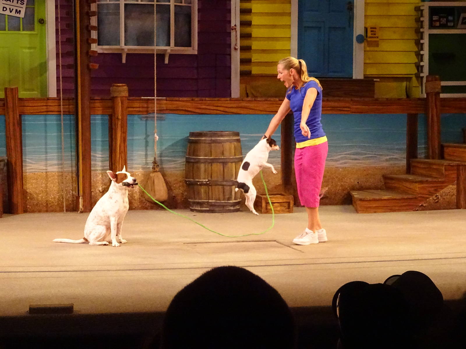 Pets Ahoy! at SeaWorld Orlando