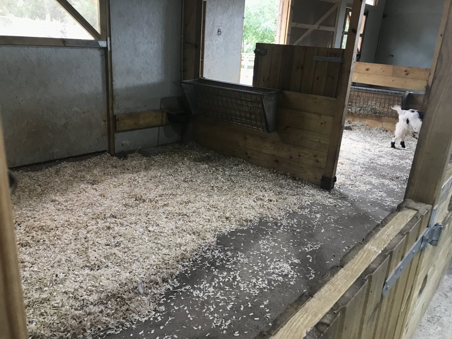 Pets farm- Animal indoors (2)