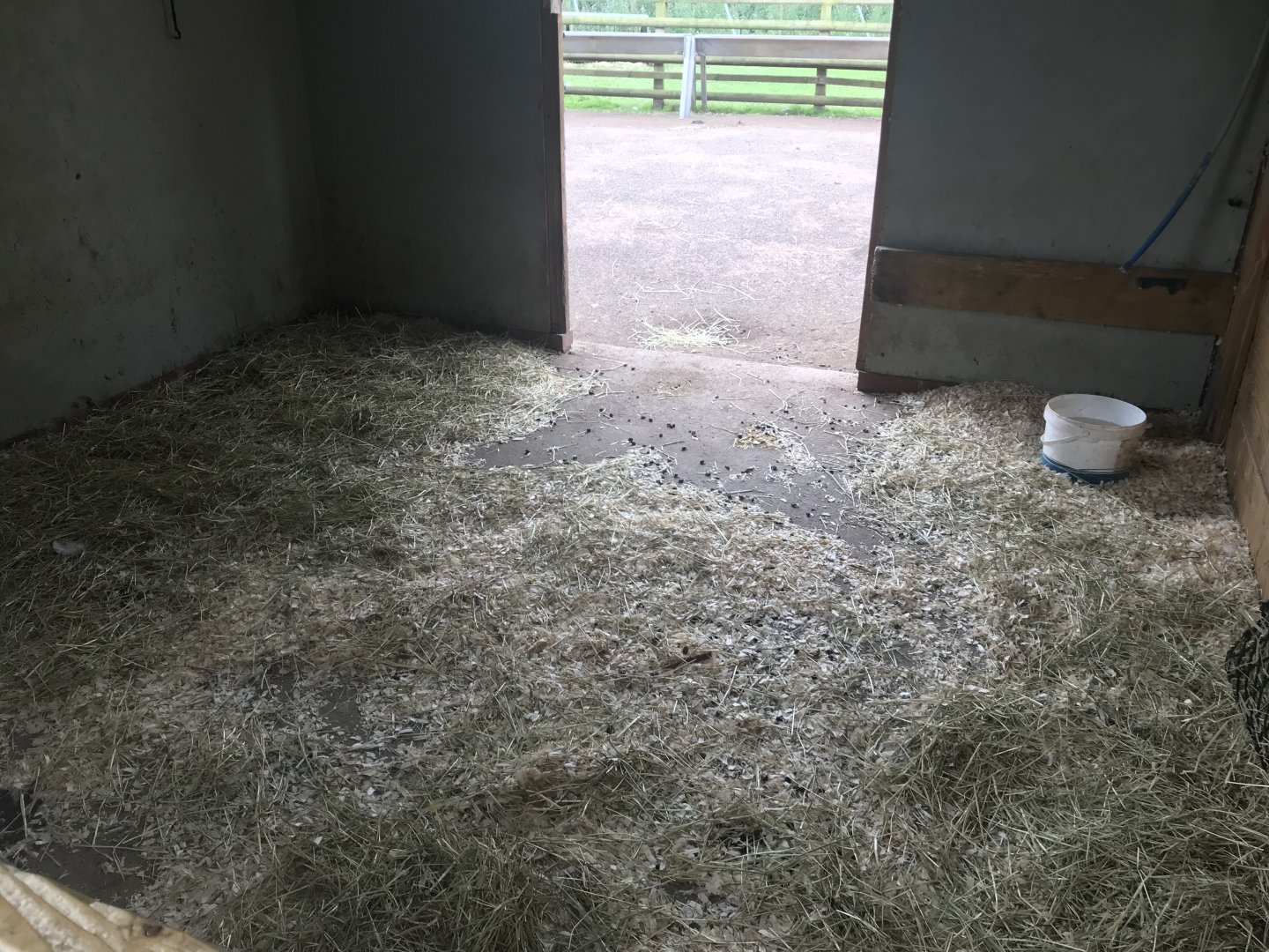 Pets farm- Animal indoors (3)