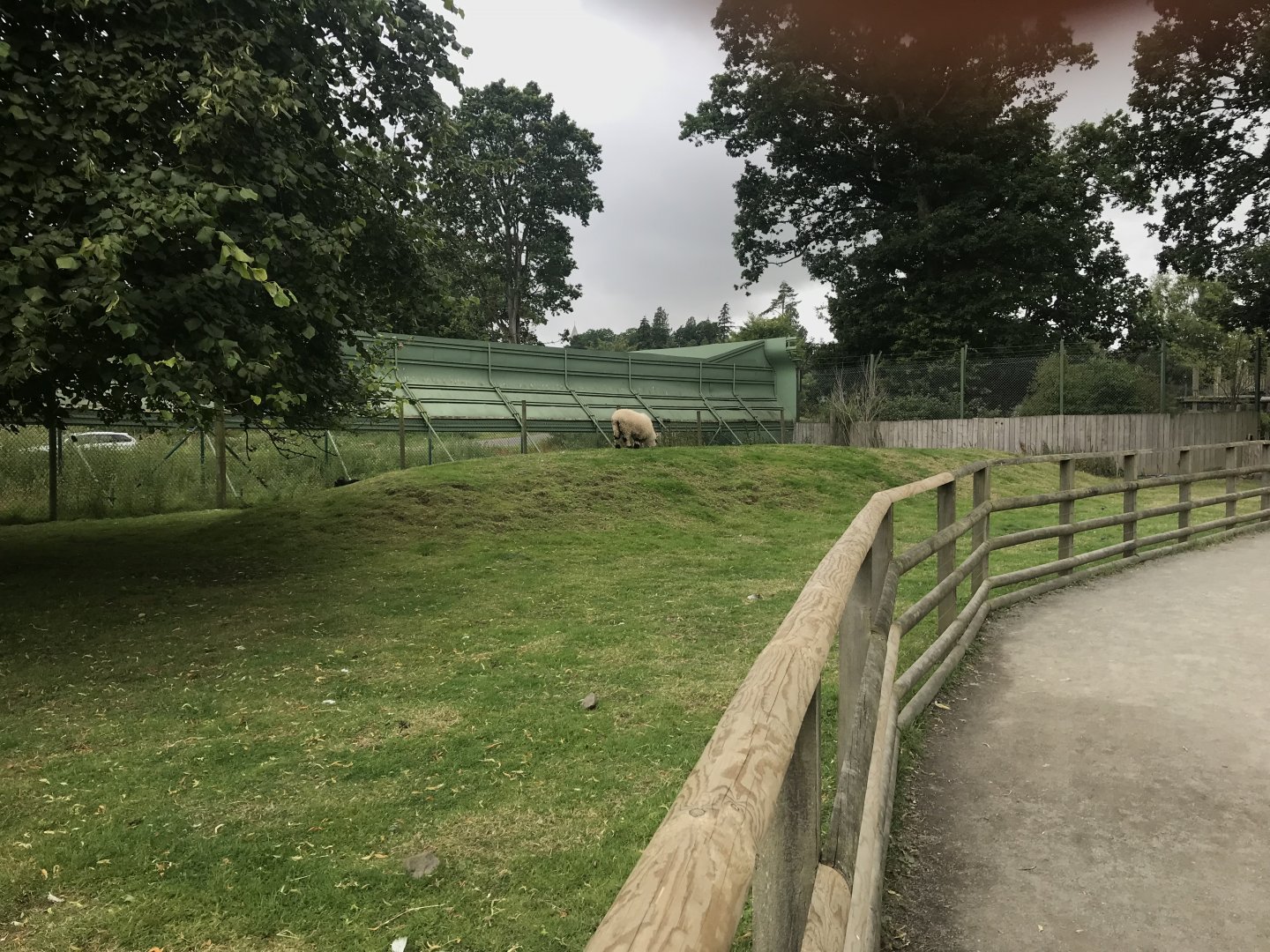 Pets farm- Goat enclosure (2)