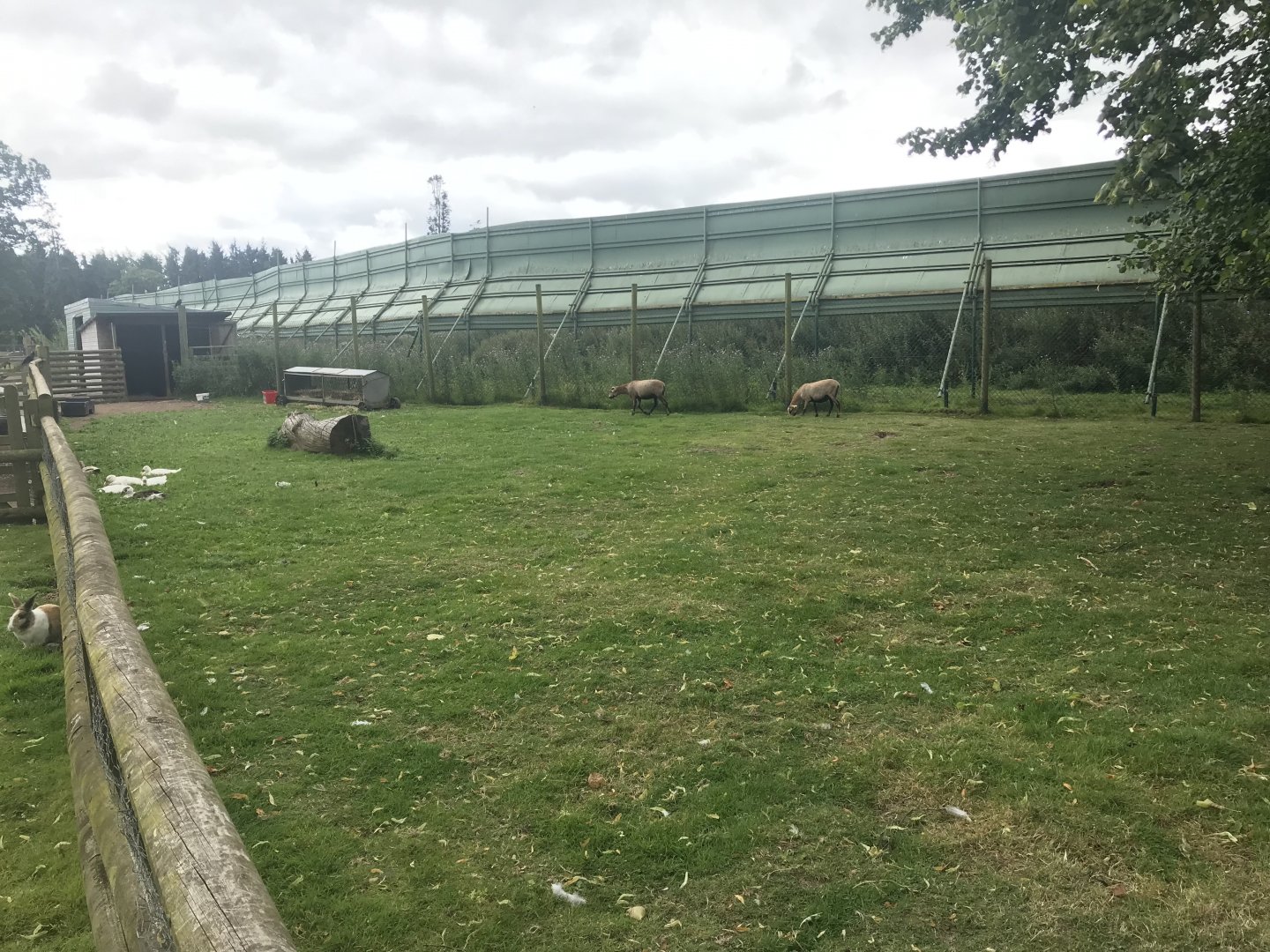 Pets farm- Goat enclosure