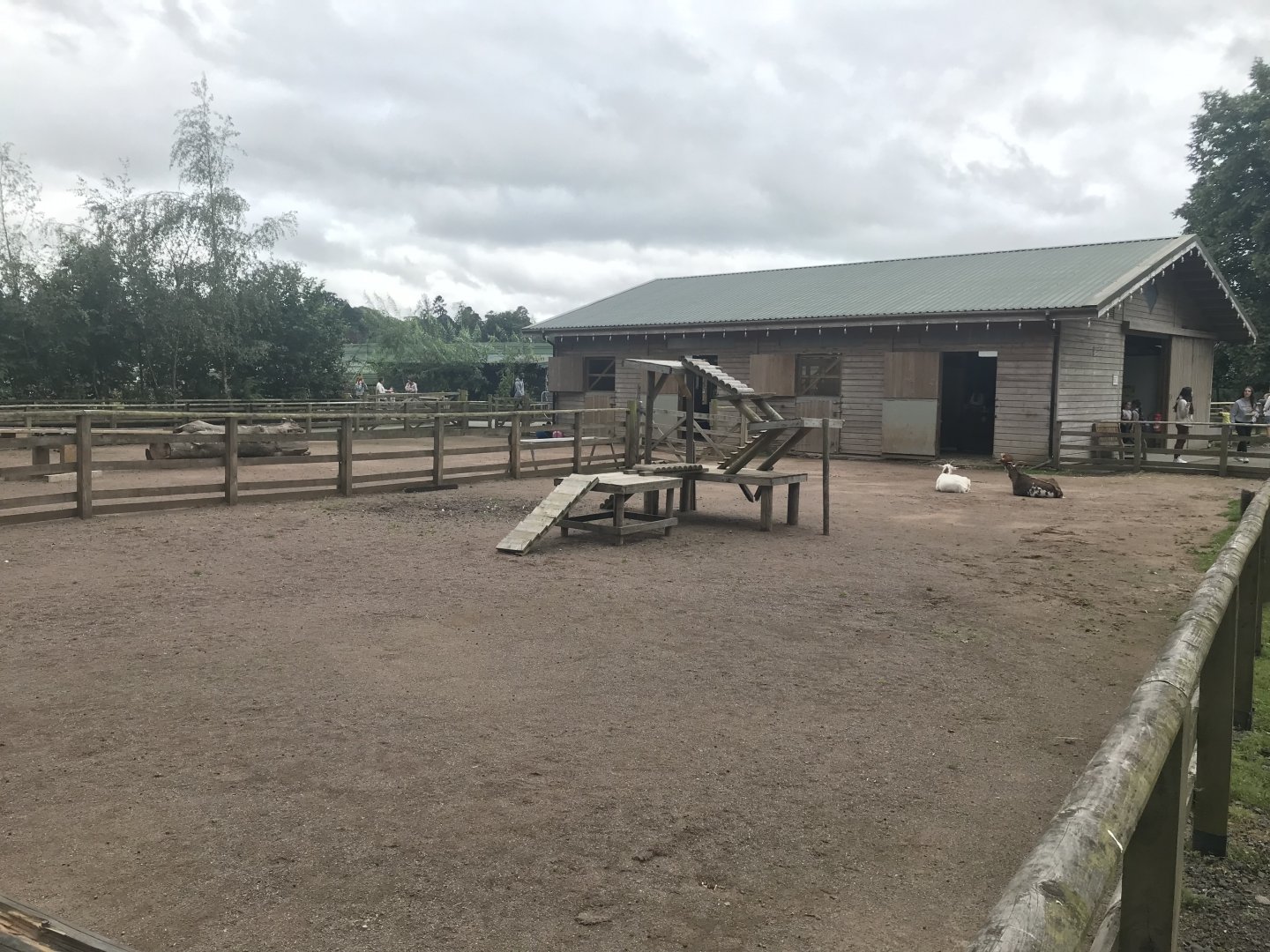 Pets farm- Hard standing enclosure (4)