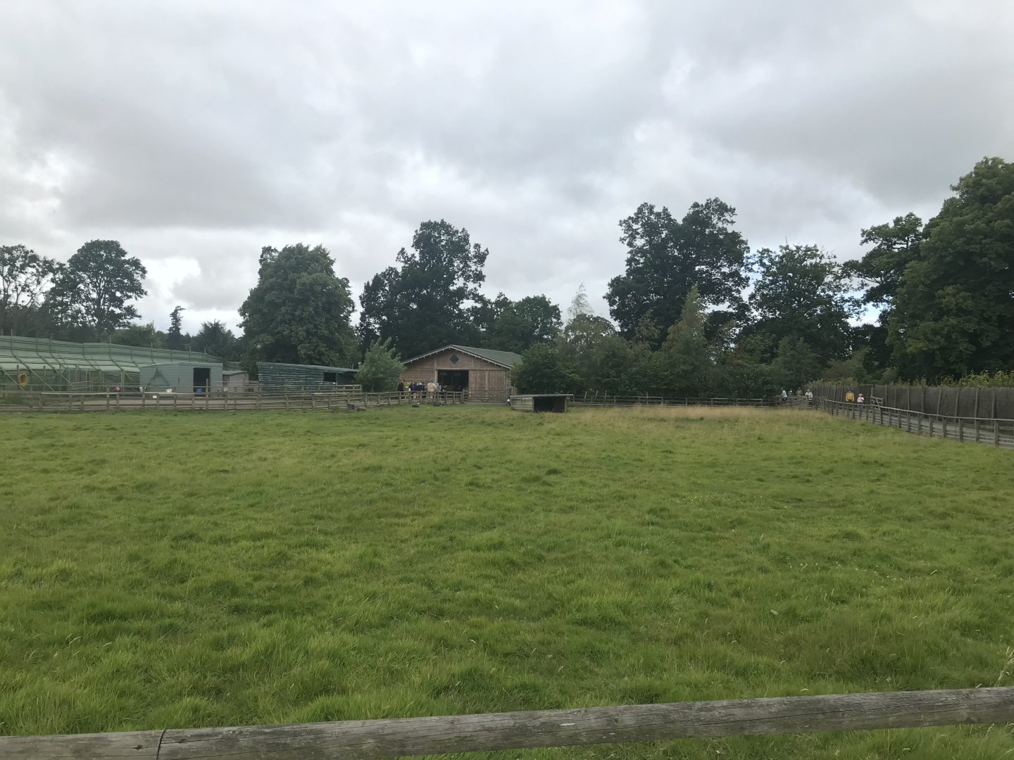 Pets farm- Kunekune pig enclosure