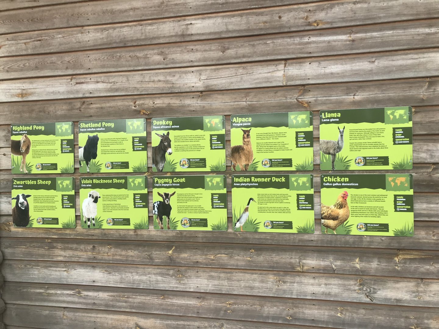 Pets farm- Some of the species held there