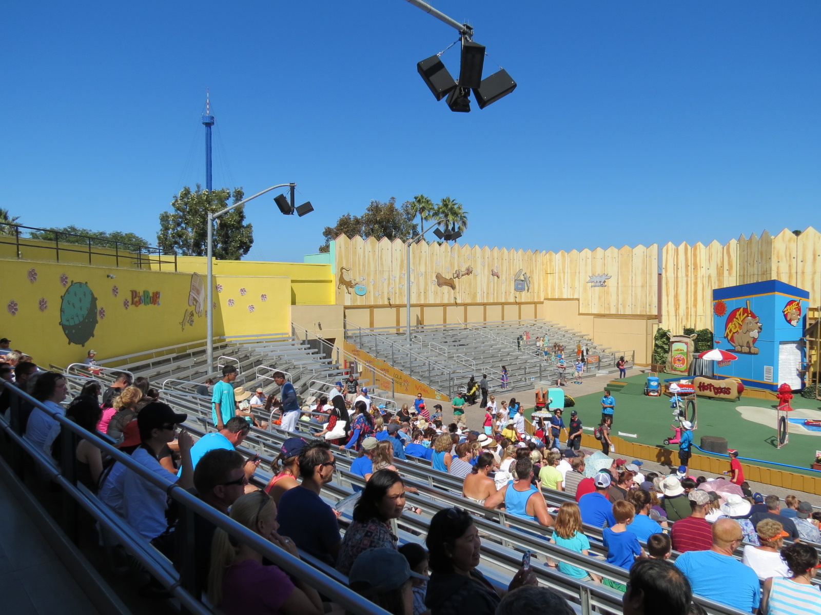 Pets Stadium - Pets Rule! Show