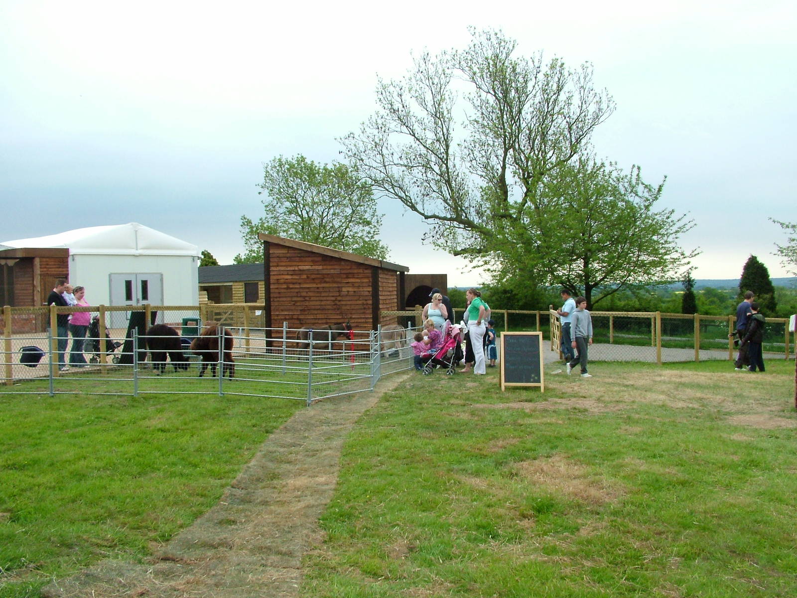 Pets@Twycross contact area at Twycross 25/05/09