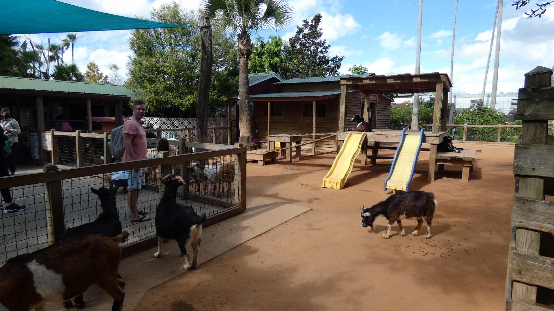 Petting Farm - Jan. 2022