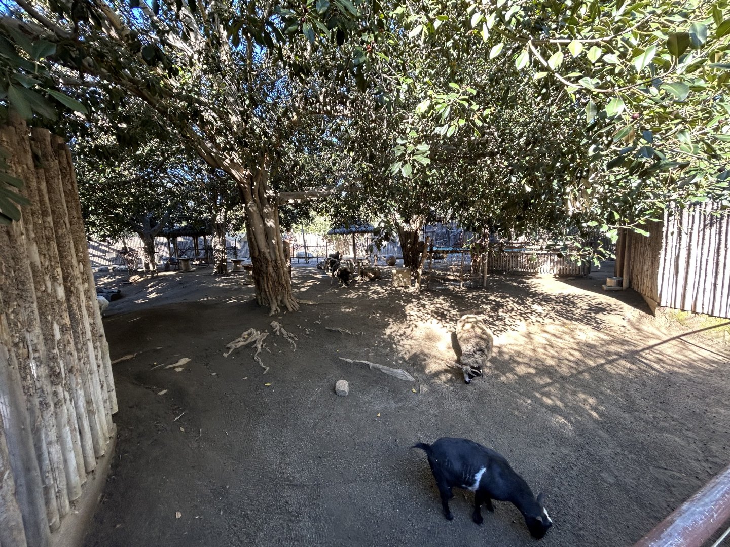 Petting Kraal - Nairobi Village