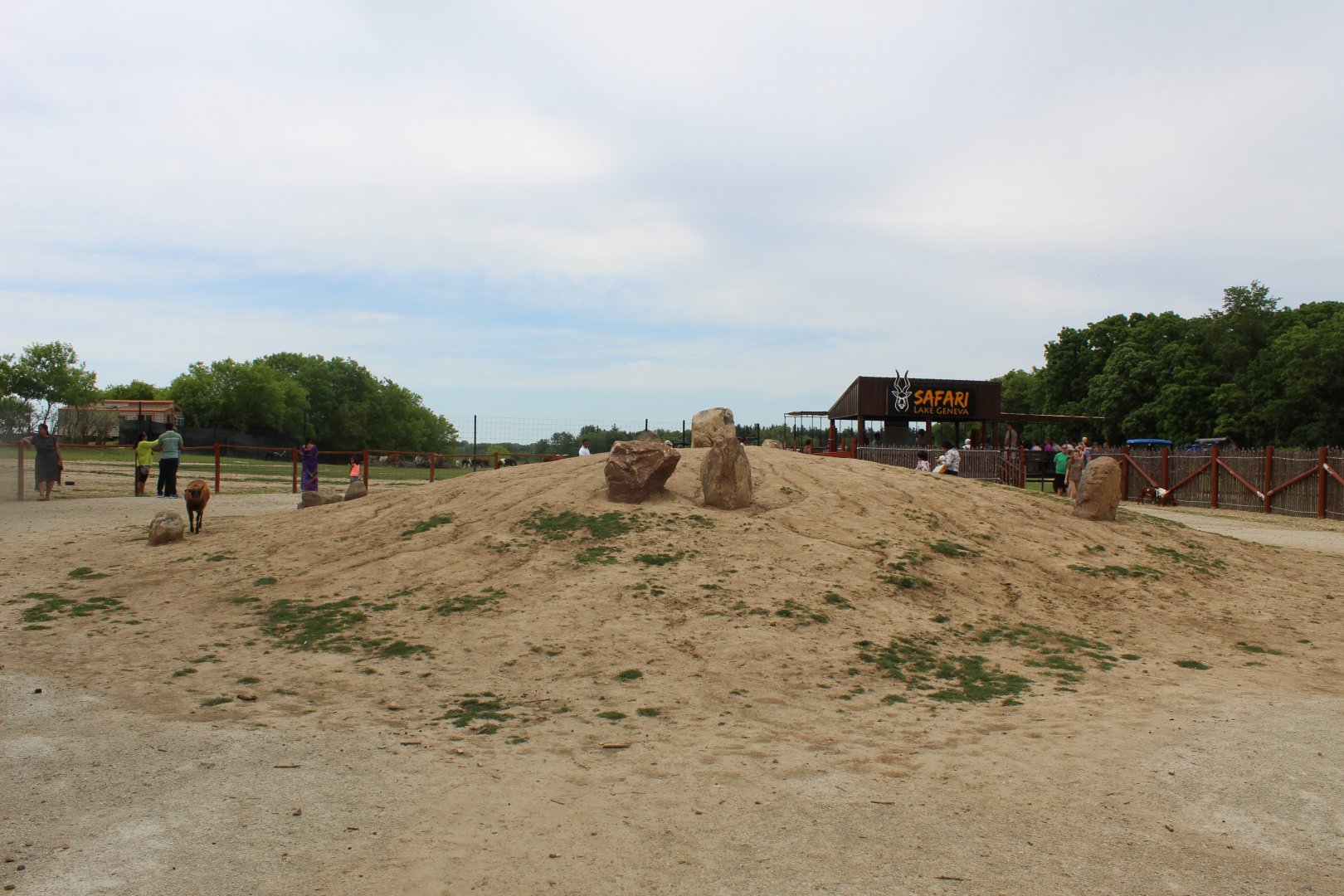 Petting Pen (Baby's and Domestic Animals)