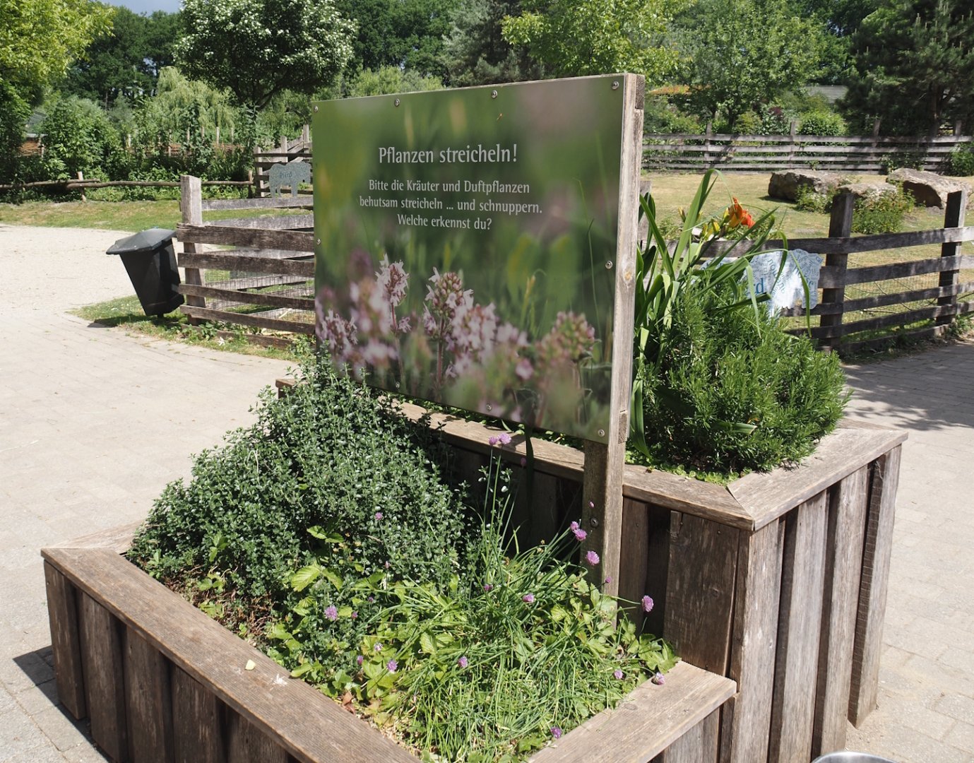 "Petting plants" - Planter with herbs and vegetables, 2025-05-22