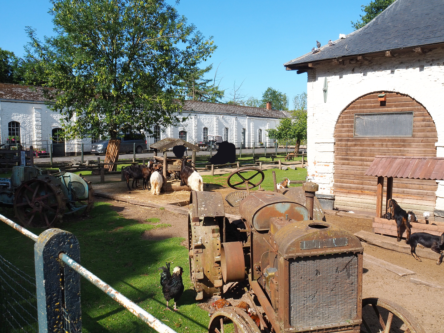 Petting zoo, 2022-06-28