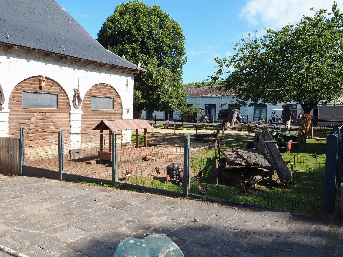 Petting zoo, 2022-06-28