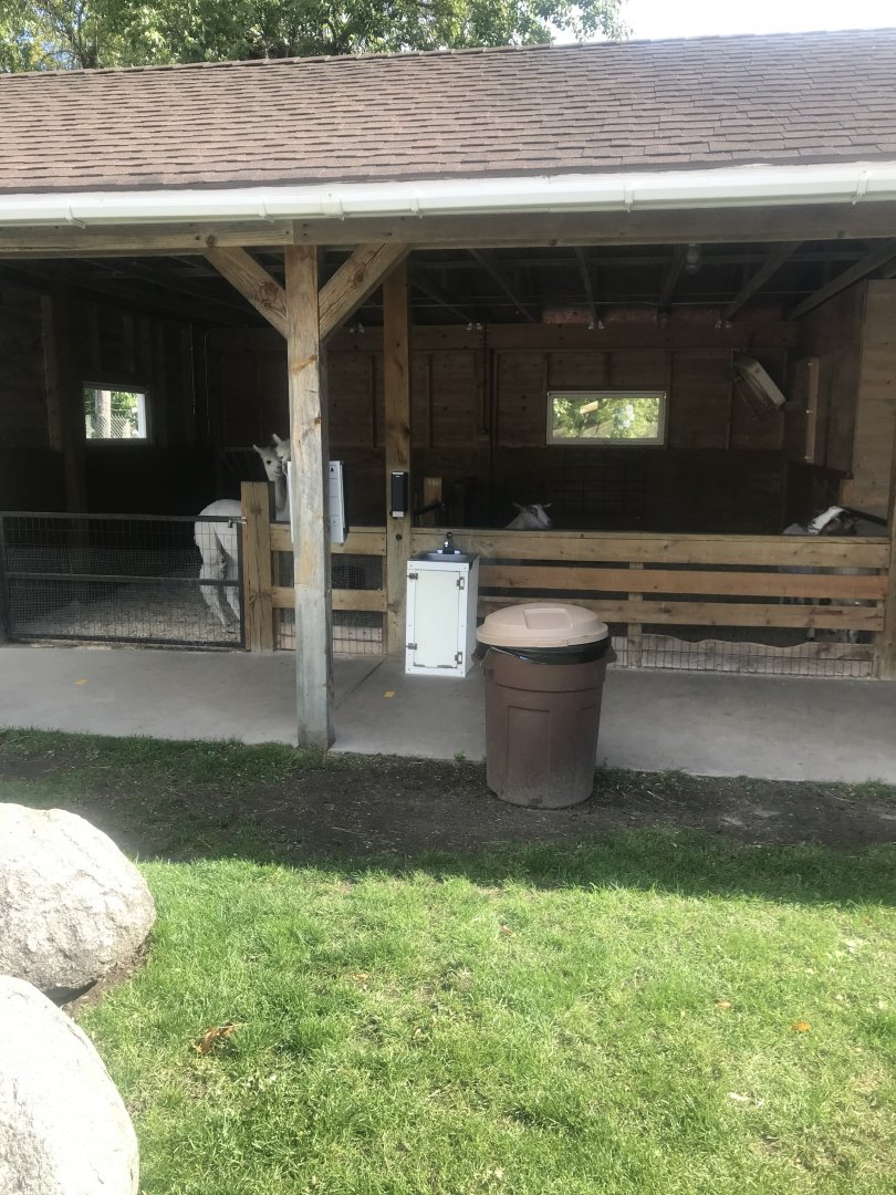 Petting Zoo- Alpaca & Domestic Goat Exhibits