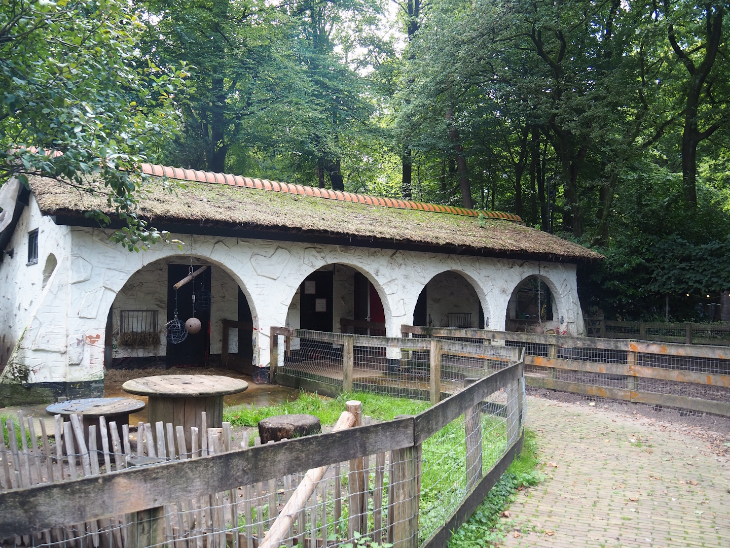 Petting zoo area - Bentheim black pied pig and Saanen goat stable, 2023-09-24