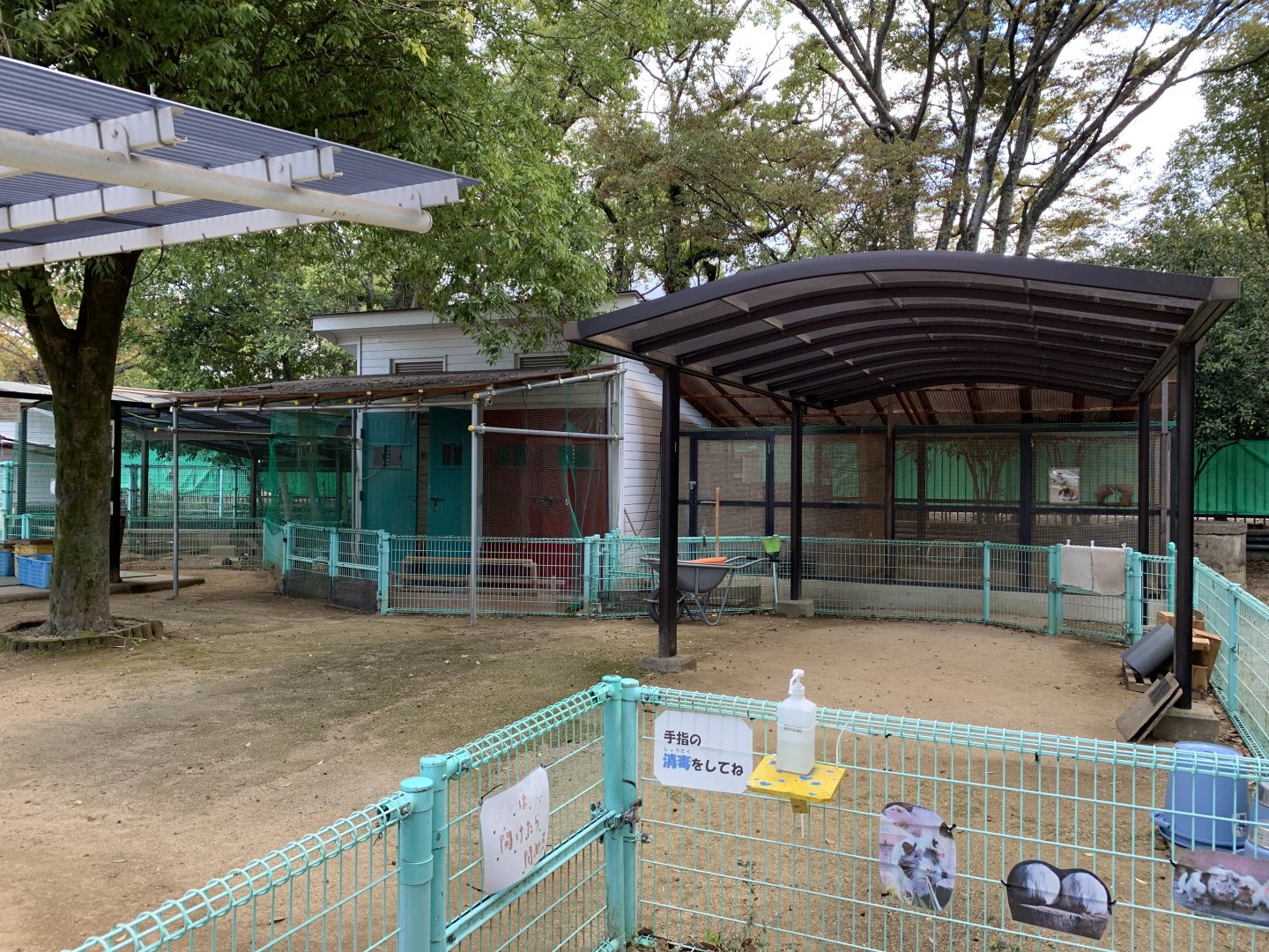 Petting Zoo Area (Himeji City Zoo)