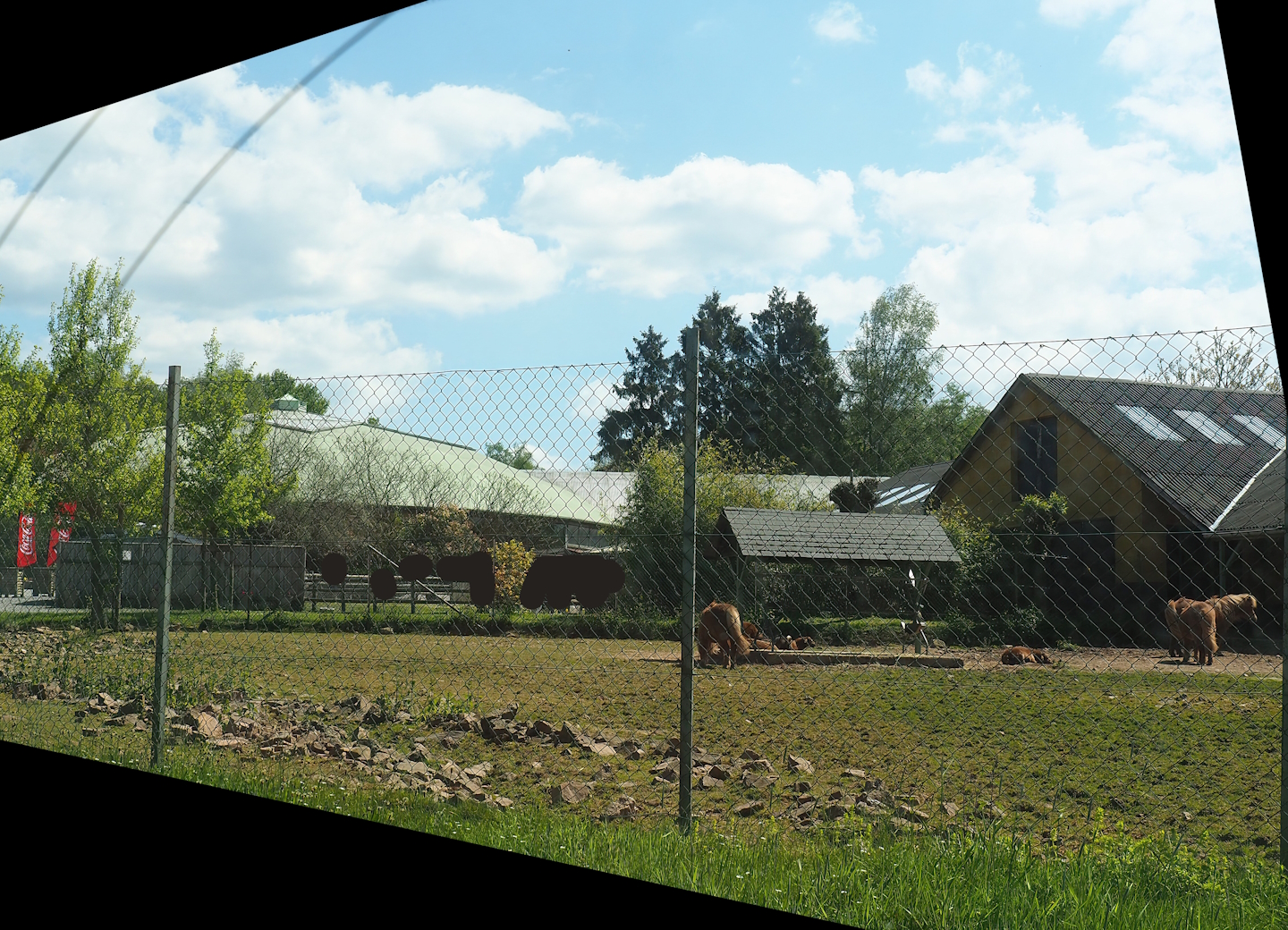 Petting zoo area - Pony and goat paddock, 2023-05-19
