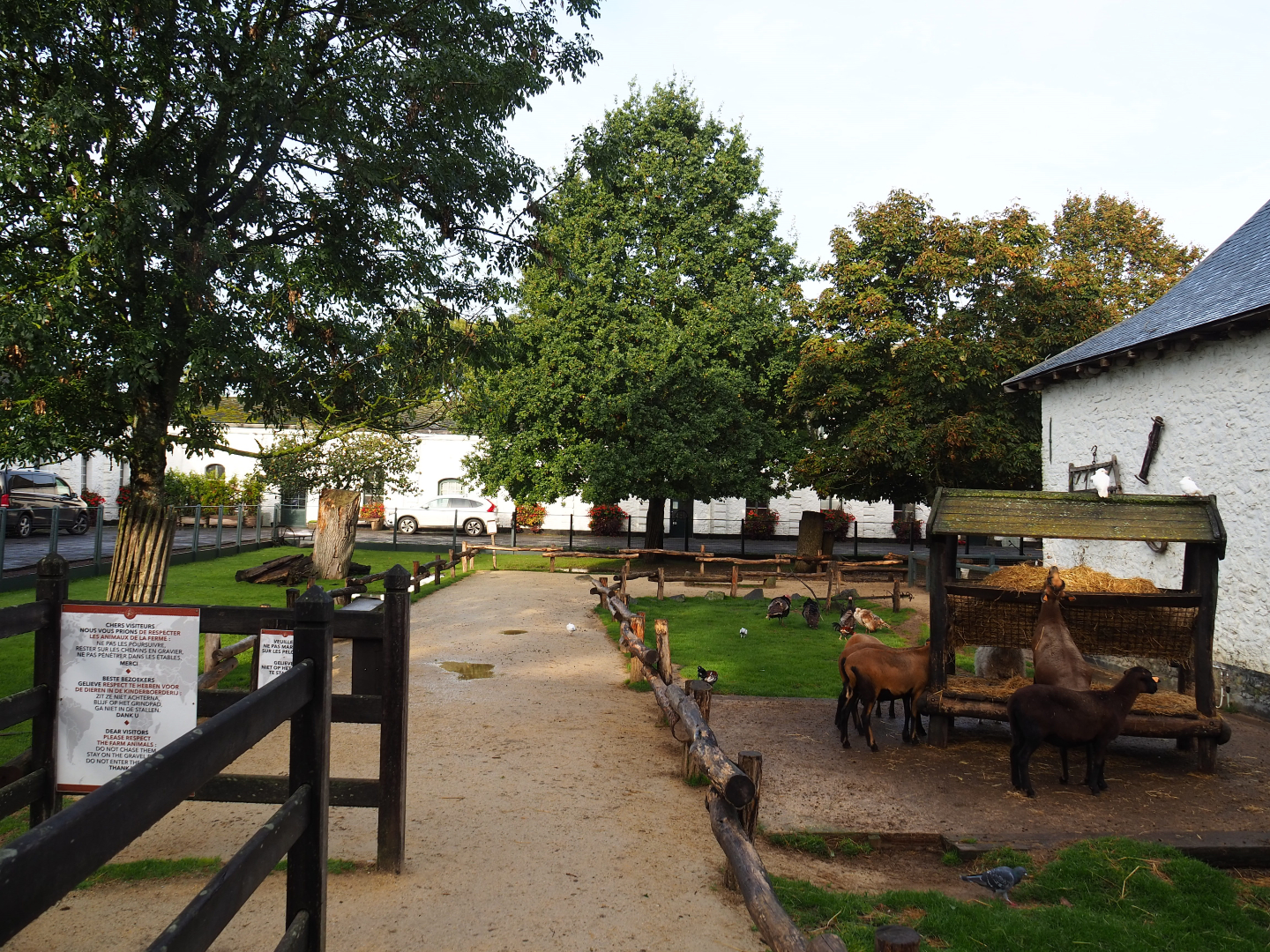 Petting zoo around old abbey coach house, 2019-10-04