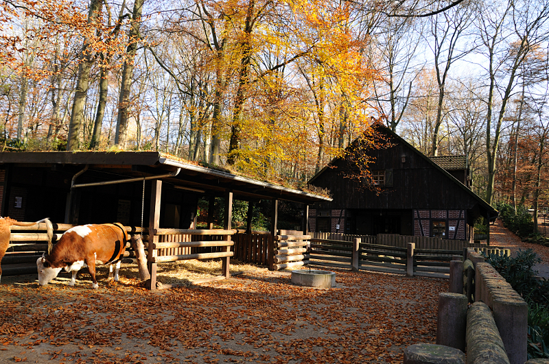 Petting zoo at Dortmund