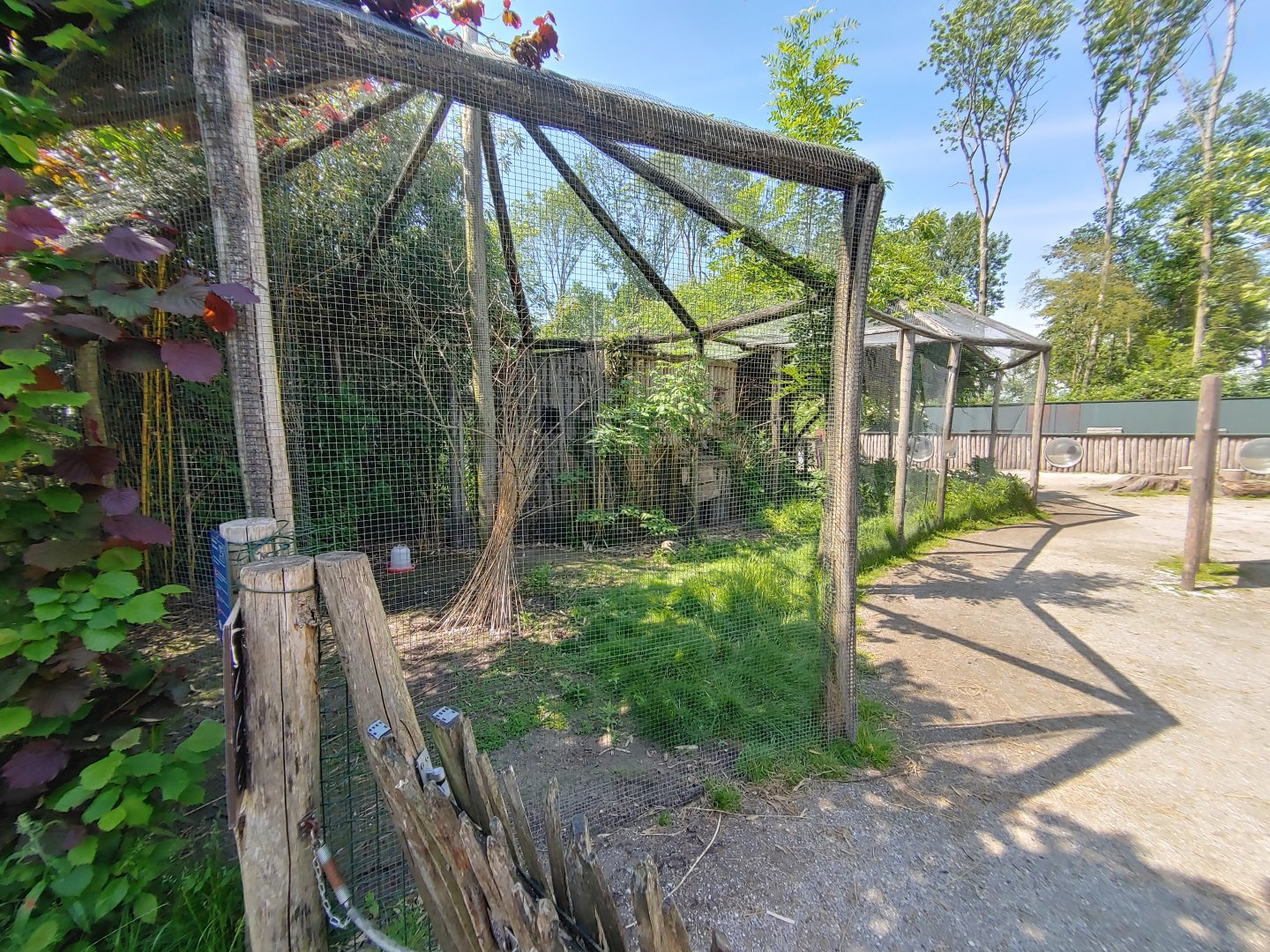 Petting zoo - aviary