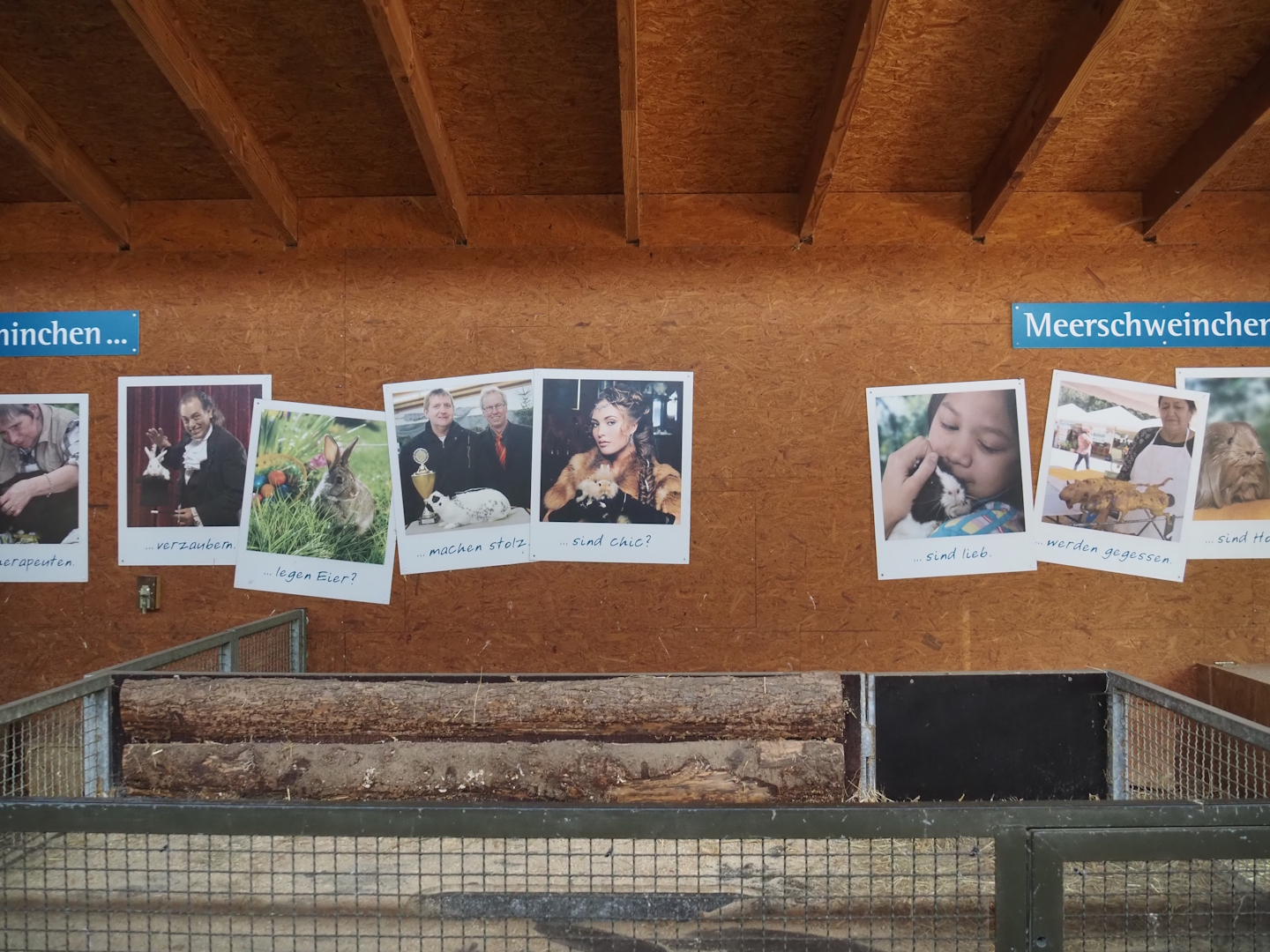 Petting zoo barn - Rotational structure between rabbit and guinea pig pens, 2025-05-22
