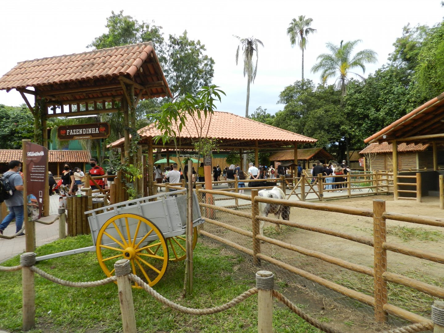 Petting zoo - BioParque do Rio