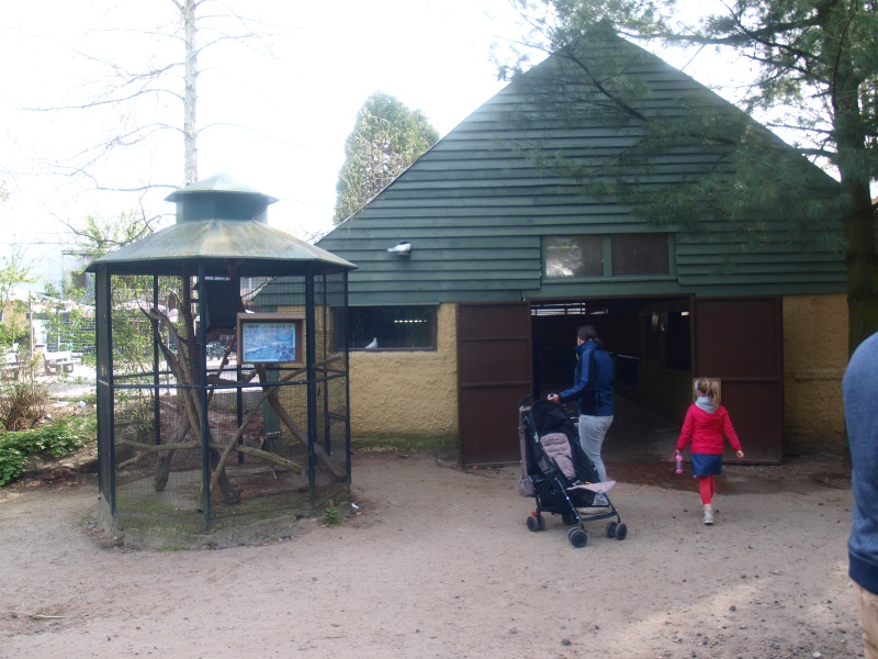 Petting zoo building (April 19th, 2015)