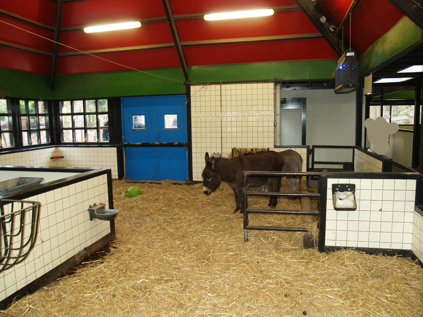 Petting zoo building - Indoor donkey paddock, 2008-03-01
