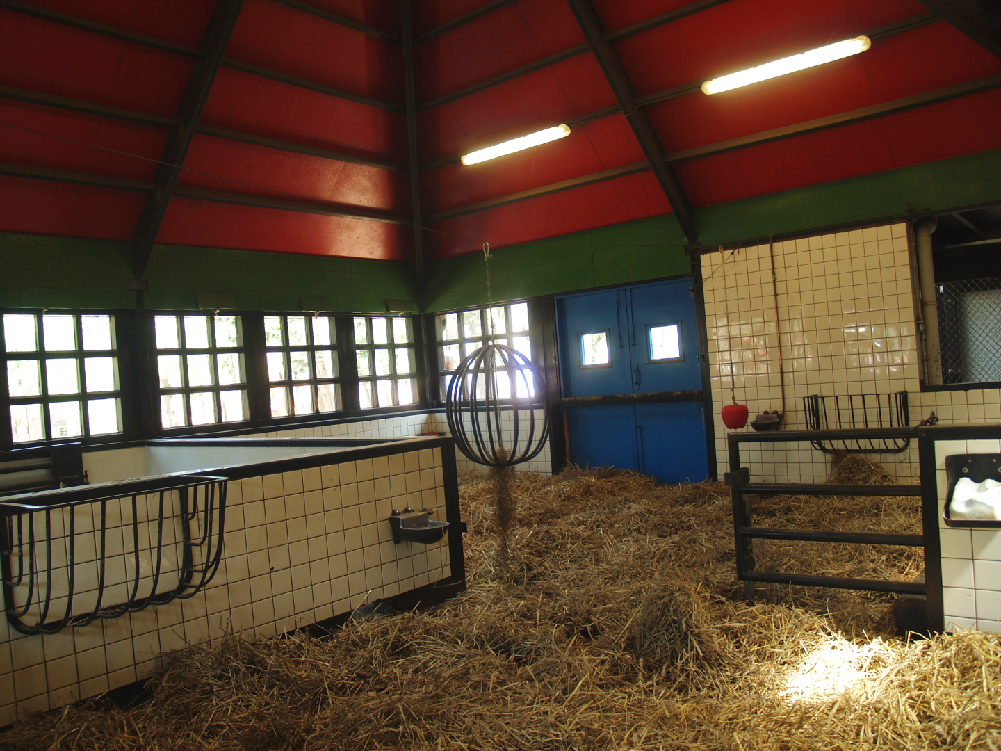 Petting zoo building - Indoor paddock, 2009-04-19