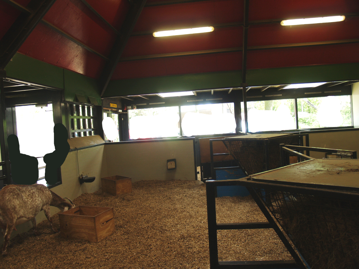Petting zoo building - Indoor paddock, 2009-04-19