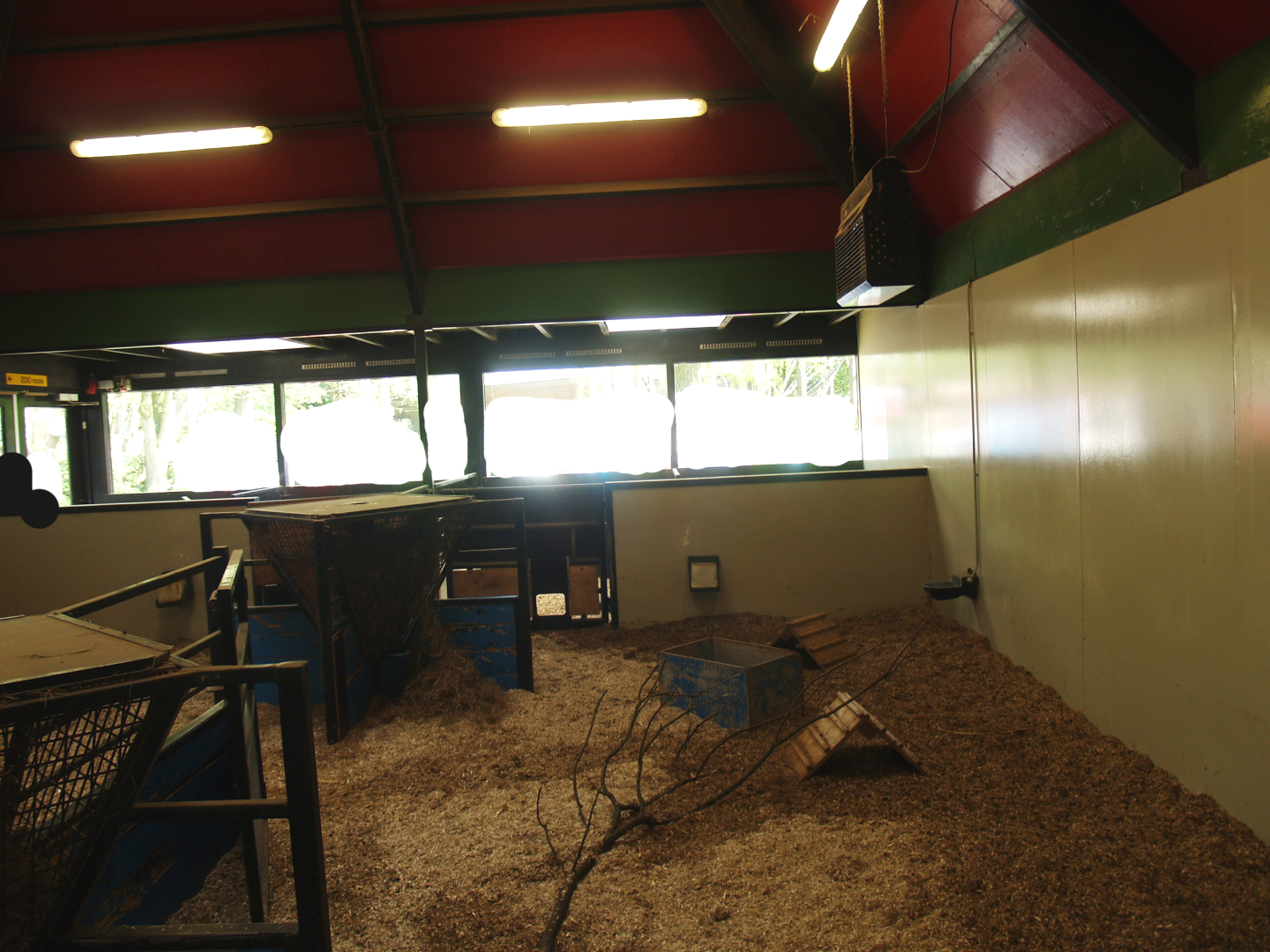 Petting zoo building - Indoor paddock, 2009-04-19