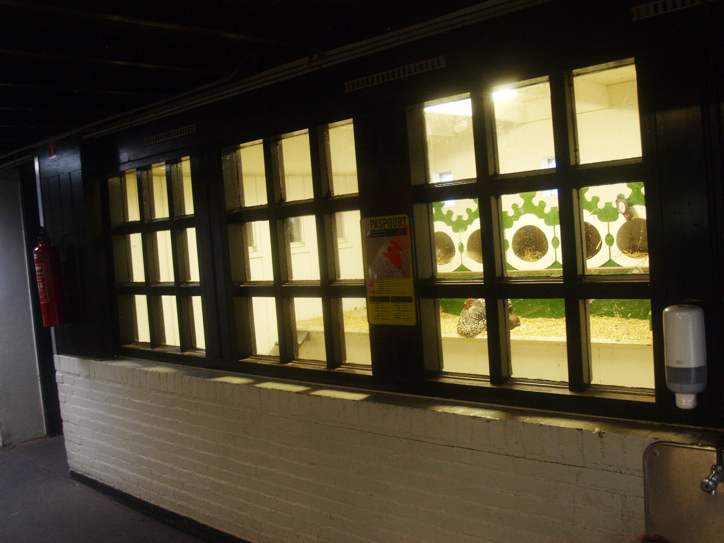 Petting zoo building - Wyandotte chicken coop, 2015-07-19