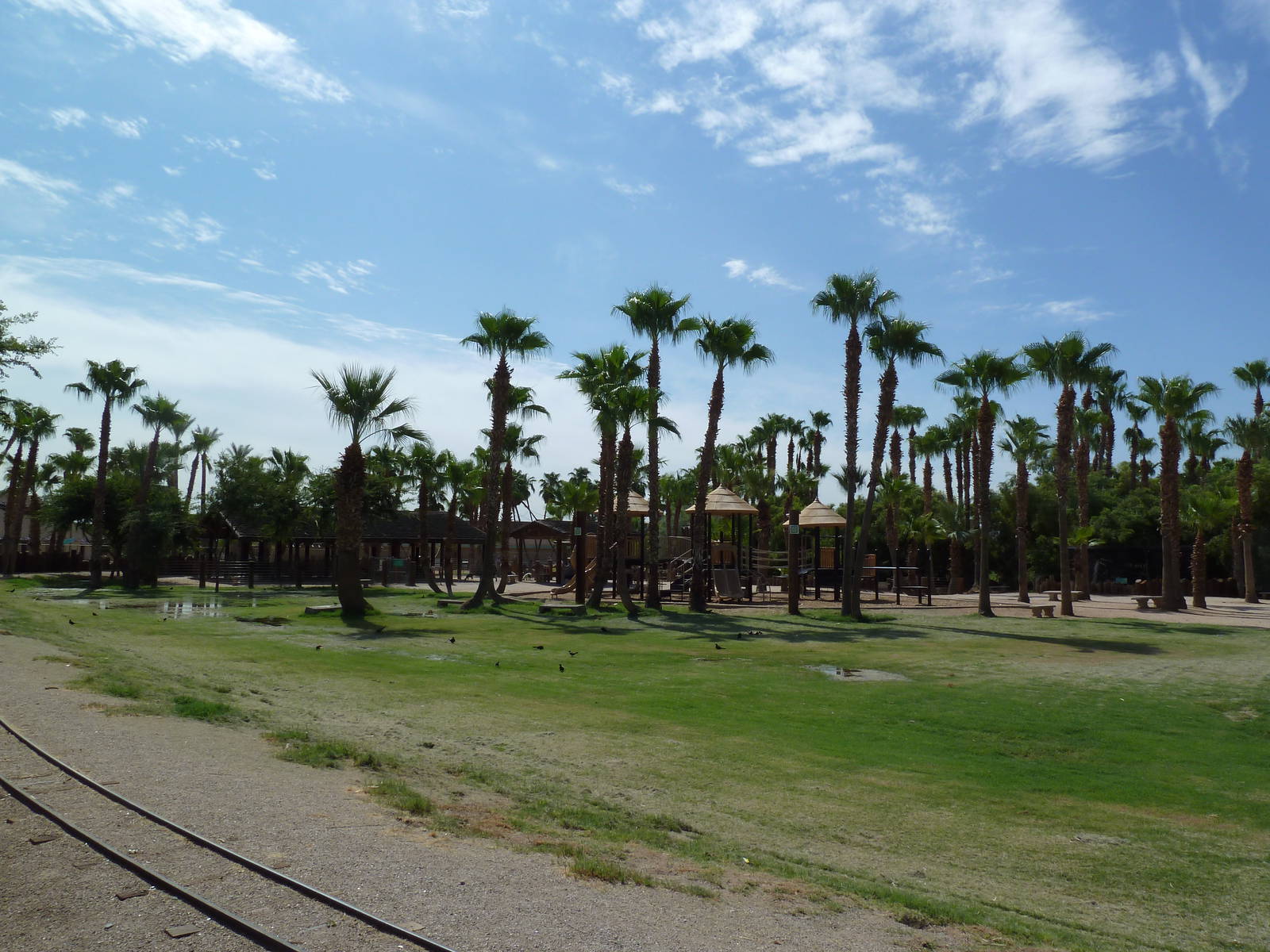 Petting Zoo + Children's Play Area